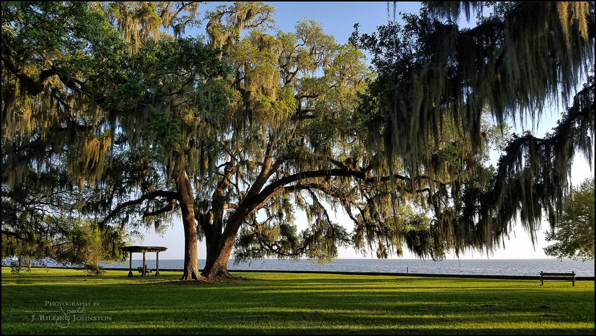 To Our Fair City… Mandeville Louisiana