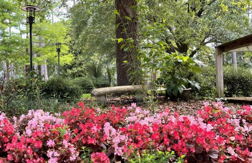 City Hall Flowers