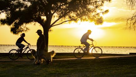 Bikes on Lake