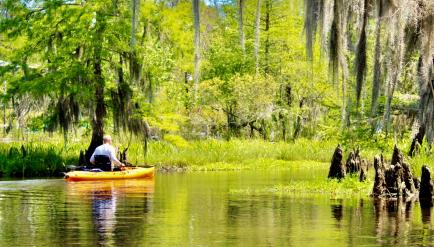 Kayak