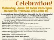 Pollinator Celebration Hand out