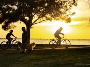 Bikes on Lake