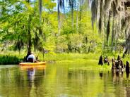 Kayak