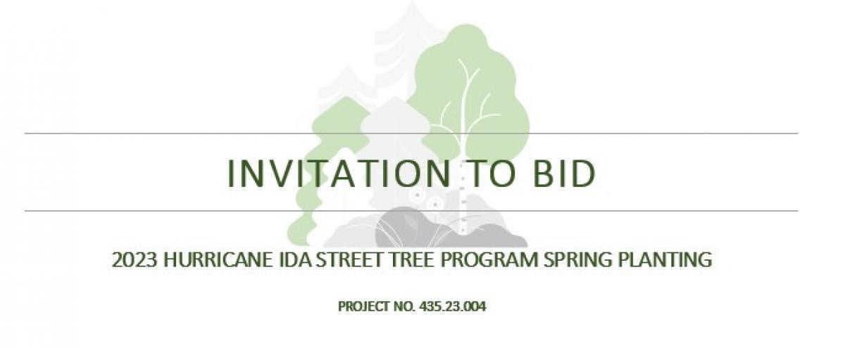 ITB 2023 STREET TREES 2023 STREET TREES