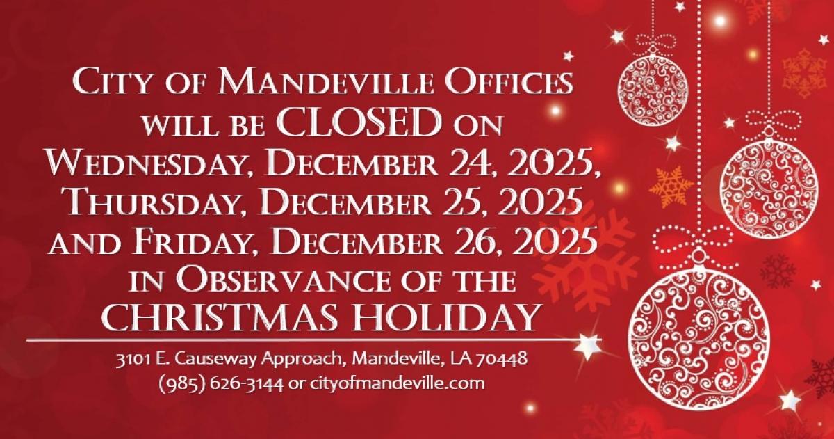 Christmas Holiday 2025