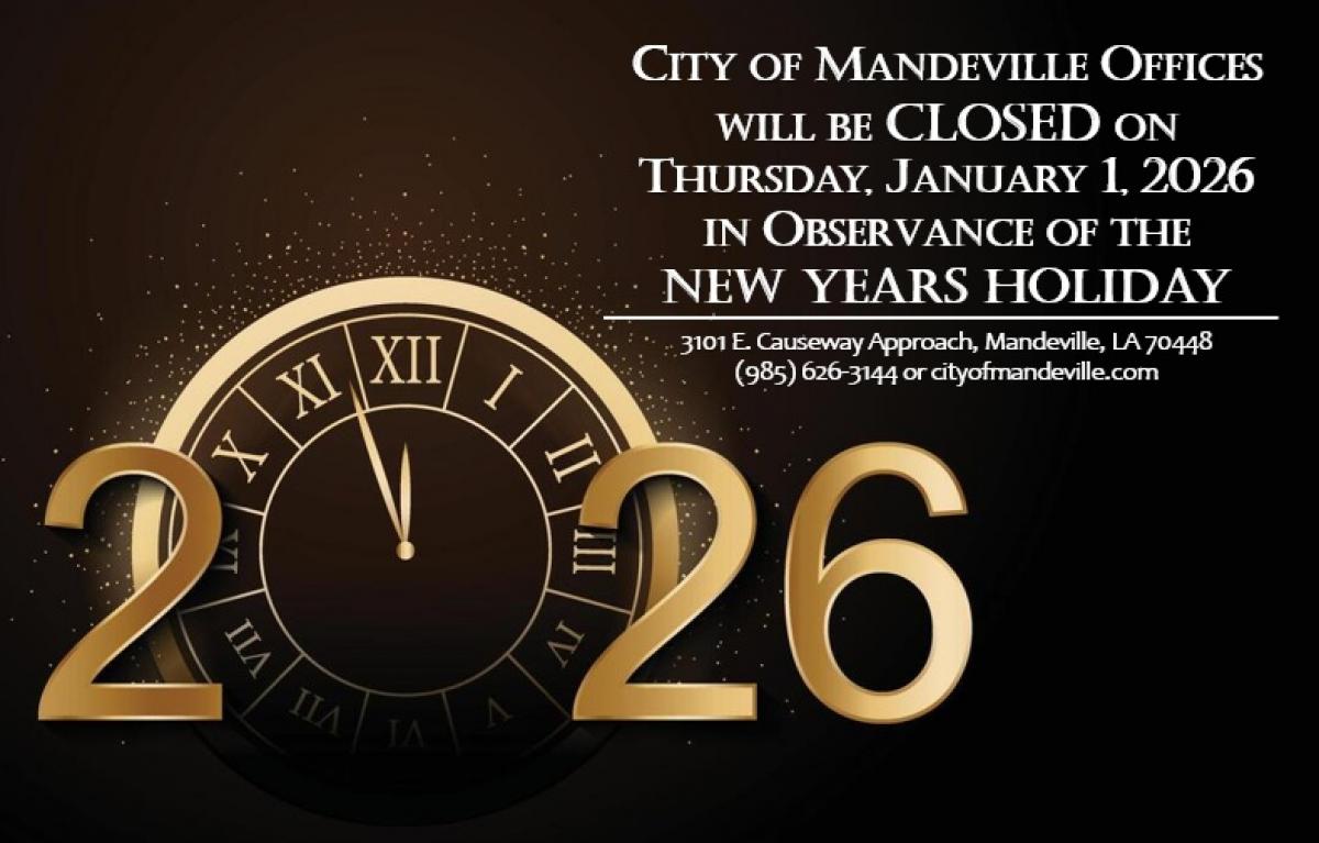 New Year Holiday 2026